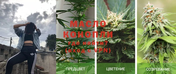 прущие грибы Алексеевка