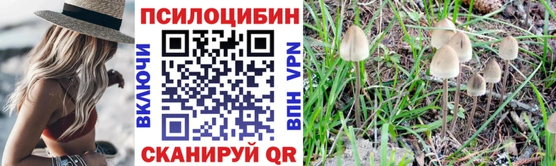 МЕГА ONION  Алупка  Галлюциногенные грибы ЛСД 